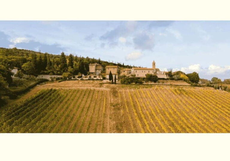San Gimignano: Wine Tasting Experience at Il Colombaio - Final Thoughts