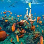 San Juan Beach, Cabo Huertas Alicante: Rental Bike & snorkel - FAQs