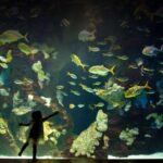 San Sebastian Aquarium Entry Ticket and City Walking Tour - Practical Tips for Making the Most of the Tour