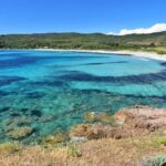 Sanguinaires Islands tour Capo di Feno - What We Loved & What Could Be Better