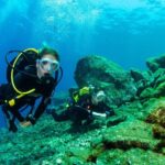 Santa Cruz de Tenerife: Beginner's Diving & Introduction - The Sum Up