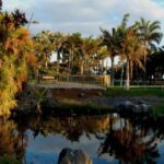 Santa Cruz de Tenerife Palmetum Entry Ticket - Who Should Visit the Palmetum?