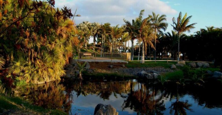 Santa Cruz de Tenerife Palmetum Entry Ticket - Who Should Visit the Palmetum?