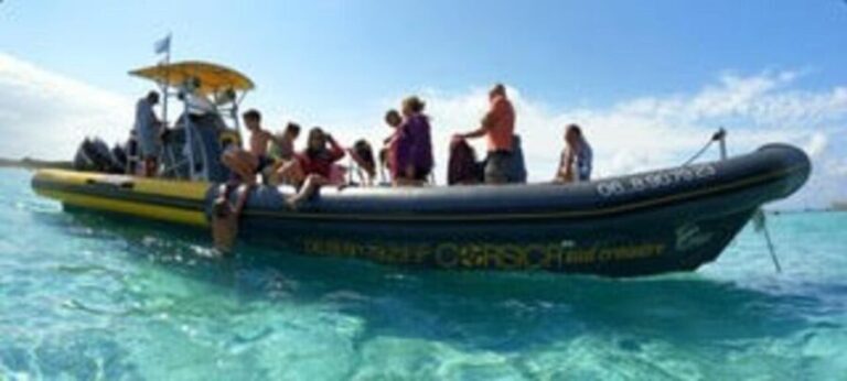 Santa Giulia : Sunset Cruise & Apéritif - Who Will Love This Experience?