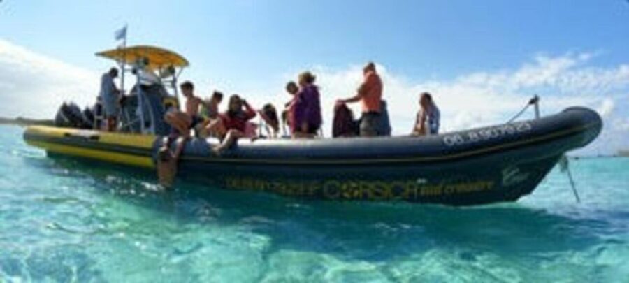 Santa Giulia : Sunset Cruise & Apéritif - Who Will Love This Experience?