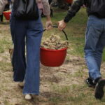 Santa Maria Imbaro: Grape Harvest with Pressing + Picnic among olive trees and vineyards - Who Would Love This Tour?