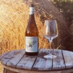 Santa Maria Imbaro: La Vinarte Wine tour - Why You Should Consider This Tour