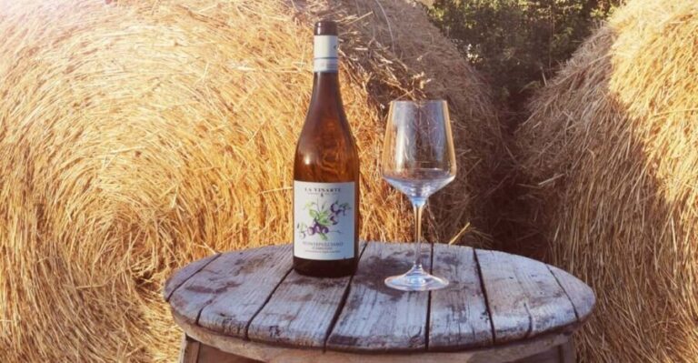 Santa Maria Imbaro: La Vinarte Wine tour - Why You Should Consider This Tour