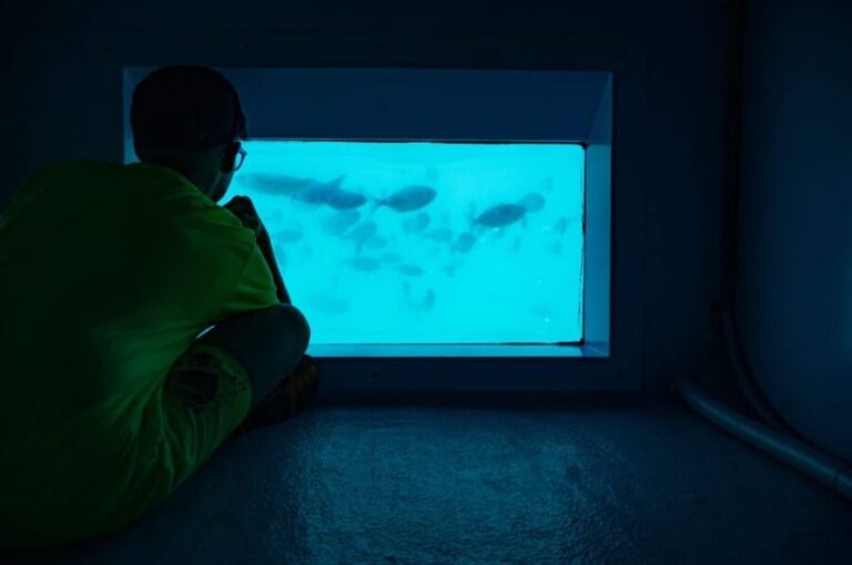 Santa Pola: Tabarca Catamaran Cruise with Underwater Vision - Possible Drawbacks or Considerations