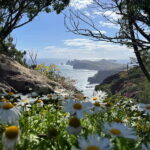 Santana: 4x4 Full-Day Tour to Northeast of Madeira Island - A Fully Detailed Exploration of the Santana 4x4 Full-Day Tour