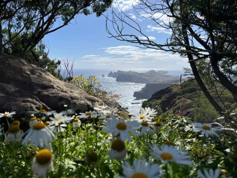 Santana: 4x4 Full-Day Tour to Northeast of Madeira Island - A Fully Detailed Exploration of the Santana 4x4 Full-Day Tour