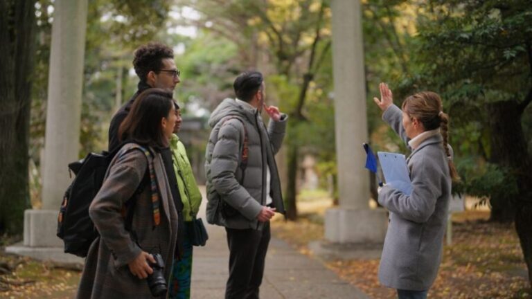 Santiago: Historic Walking Tour and Highlights - What to Expect from the Tour