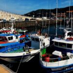 Santoña: Anchovy Factory Tour and Boat Trip - A Closer Look at the Itinerary