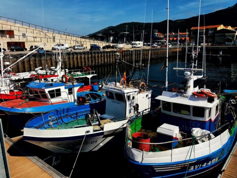 Santoña: Anchovy Factory Tour and Boat Trip - A Closer Look at the Itinerary