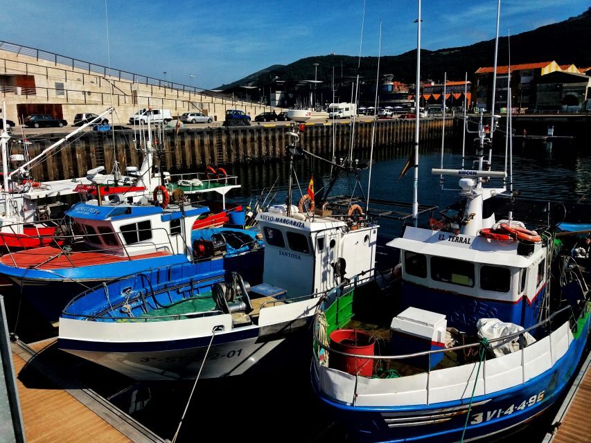 Santoña: Anchovy Factory Tour and Boat Trip - A Closer Look at the Itinerary