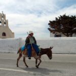 Santorini Fully Customizable Tour - Why Choose This Tour?