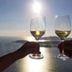 Santorini: Guided Wineries Private Tour with Wine Tastings - Visiting the Koutsoyannopoulos Wine Museum
