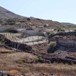 Santorini: Private Agri-Educational Visit to an Organic Farm - Why This Tour Is a Great Choice
