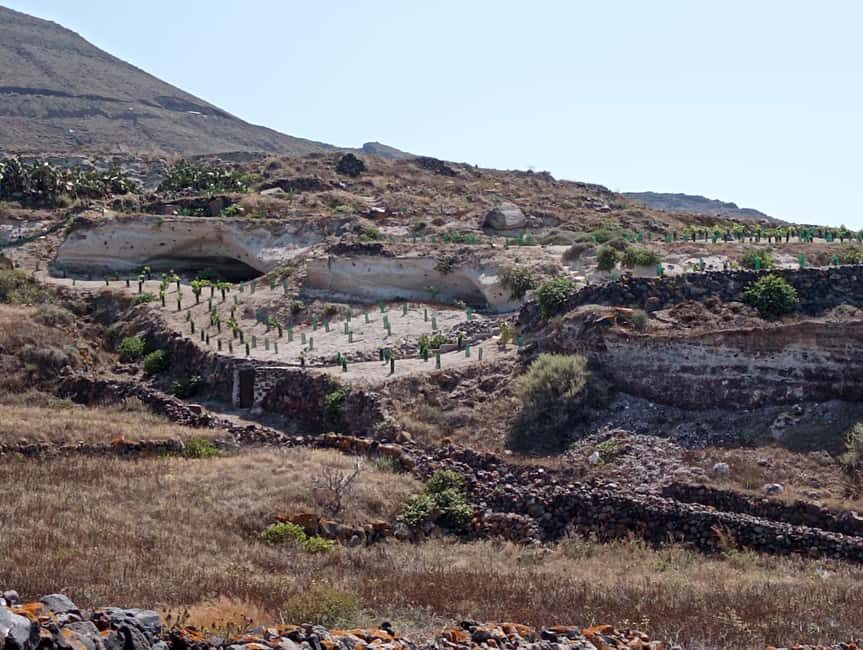 Santorini: Private Agri-Educational Visit to an Organic Farm - Why This Tour Is a Great Choice