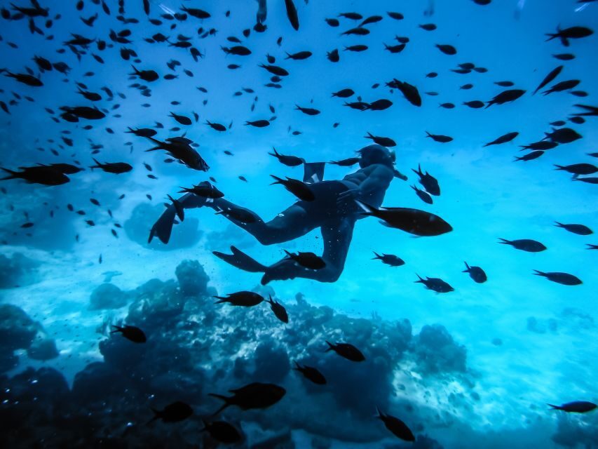 Santorini: Scuba Diving Experience for Beginners - Frequently Asked Questions