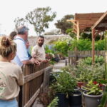 Santorini Sightseeing: Private Tour with Farm Lunch - The Farm Lunch in Pyrgos: Savoring Local Flavors