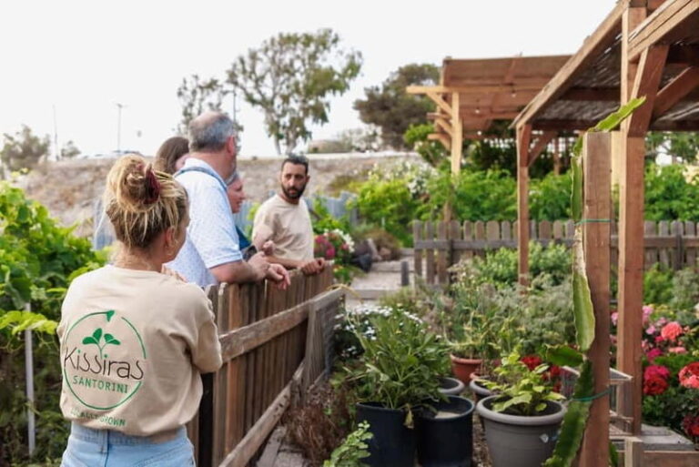 Santorini Sightseeing: Private Tour with Farm Lunch - The Farm Lunch in Pyrgos: Savoring Local Flavors