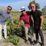 Santorini: Small-Group Sunset Wine Tour with Santo Winery - Who Is This Tour Best For?