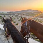 Santorini: Sunset Horse Riding Tour with Professional Photos - The Ride: Scenic Trails & Beach Backdrops