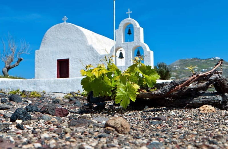 Santorini's "Wine Roads": Private Wine Tour With Tastings - Why This Tour Offers Great Value
