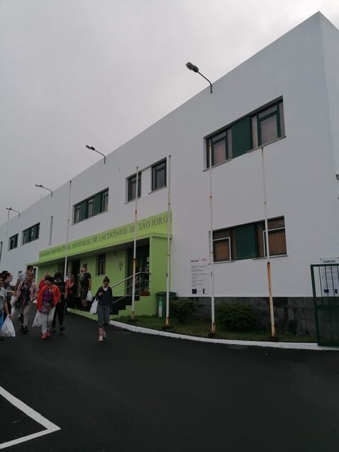 Sao Jorge Cheese Tour - Half day - The Authentic Flavor of Sao Jorge: What Travelers Will Love