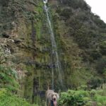 São Jorge: Fajã Camping and Hiking Tour - What’s Included and What to Expect