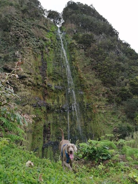 São Jorge: Fajã Camping and Hiking Tour - What’s Included and What to Expect