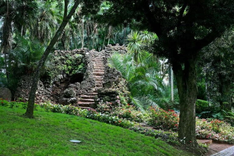 São Miguel: Botanical Gardens and Cave Tour - An In-Depth Look at the São Miguel Botanical Gardens and Cave Tour