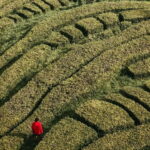 São Miguel Island: 2-Day Tour of Natural Wonders & Top Spots - Transportation & Group Size