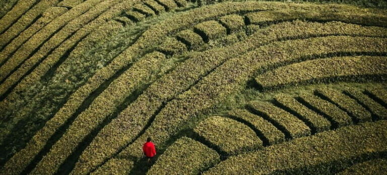 São Miguel Island: 2-Day Tour of Natural Wonders & Top Spots - Transportation & Group Size