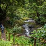 São Miguel Island: Chasing Waterfalls in the Azores Tour - The Trail Experience