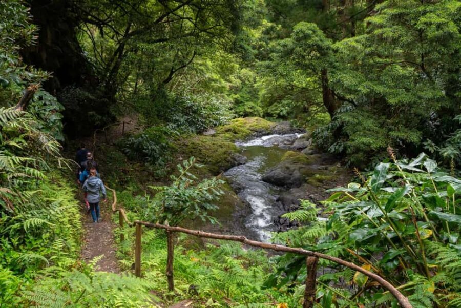São Miguel Island: Chasing Waterfalls in the Azores Tour - The Trail Experience