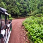 São Miguel Island: Full Day Furnas and Furnas Lake Tour - The Practical Side: What to Expect