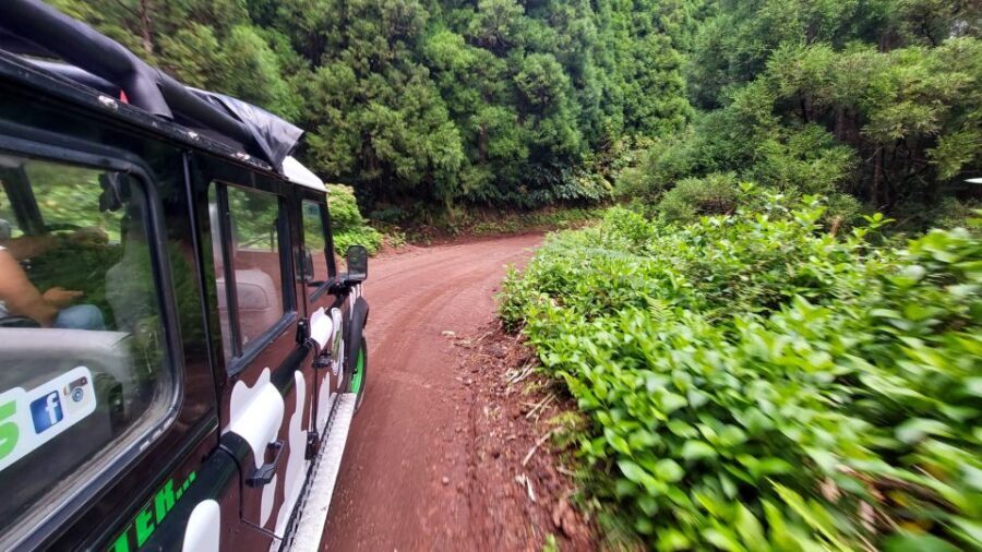 São Miguel Island: Full Day Furnas and Furnas Lake Tour - The Practical Side: What to Expect