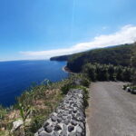 São Miguel: Moinho do Felix Hike with Tea Factory Visit - The Overall Value