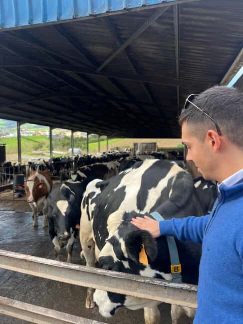 São Miguel: Nordeste Tour with Cow Milking - Setting the Scene: What the Tour Includes