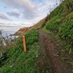 São Miguel: Ribeira Funda Hike & Tea Plantation with Lunch - A Deep Dive into the São Miguel: Ribeira Funda Hike & Tea Plantation Tour