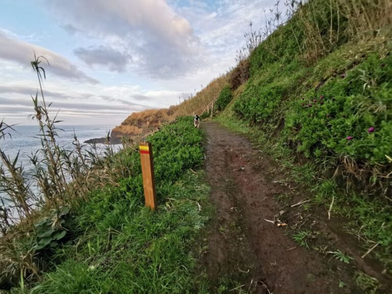 São Miguel: Ribeira Funda Hike & Tea Plantation with Lunch - A Deep Dive into the São Miguel: Ribeira Funda Hike & Tea Plantation Tour