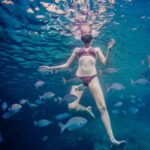 São Miguel: Santa Iria Bay Snorkeling Tour with Music - Evaluating the Experience: Value and Practicality