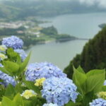 São Miguel: Sete Cidades & Pineapple Plantation Tour - Who Should Consider This Tour?