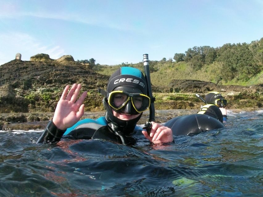 Sao Miguel: Snorkeling around Vila Franca do Campo - The Highlights of the Experience