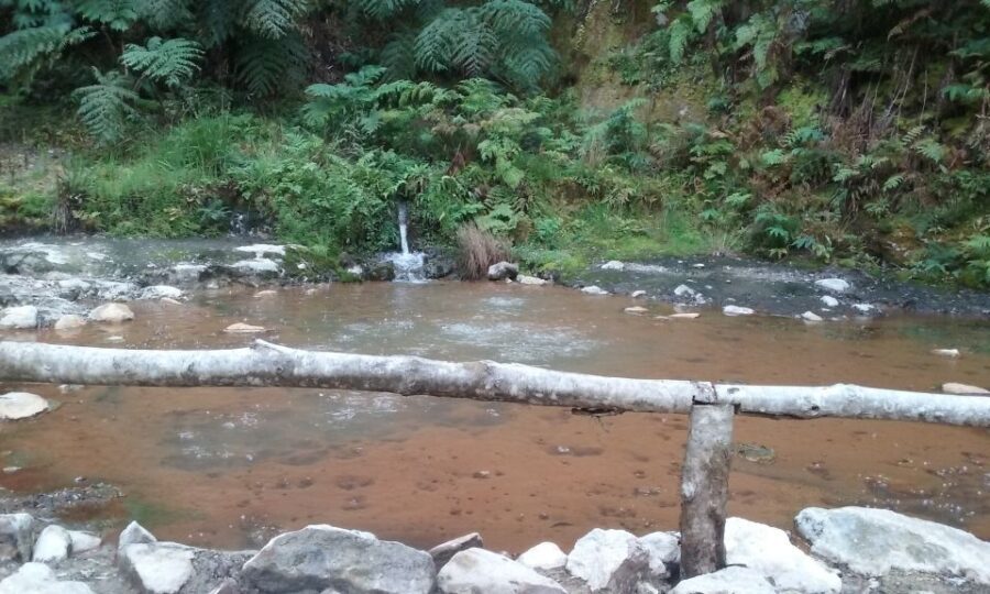 São Miguel: Whales & Volcano Full-Day Tour with Lunch - The Value of This Tour