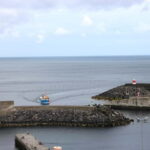 São Miguel:Rabo de Peixe From the Market to the Harbour Tour - Practical Details and Value