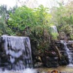 Sapanca & Masukiye Full-Day Tour with Lunch and Transfers - Authentic Experiences and Genuine Value