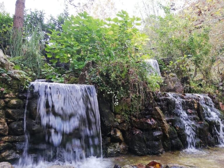 Sapanca & Masukiye Full-Day Tour with Lunch and Transfers - Authentic Experiences and Genuine Value